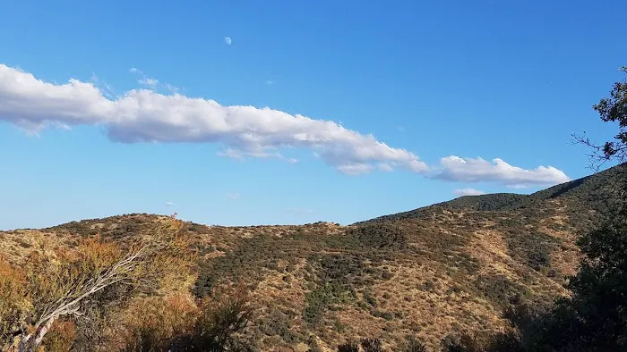 Aliso Park Campground Picture 1