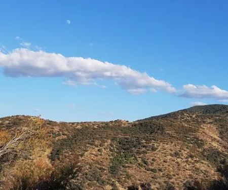Aliso Park Campground