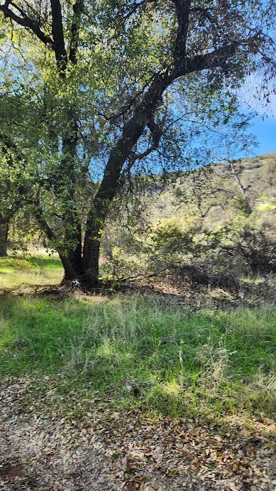 Aliso Park Campground Picture 8