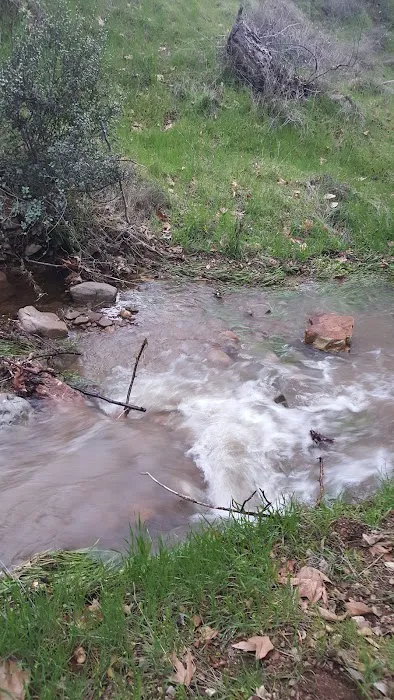 Aliso Park Campground Picture 2