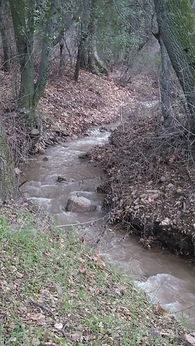 Aliso Park Campground Picture 9