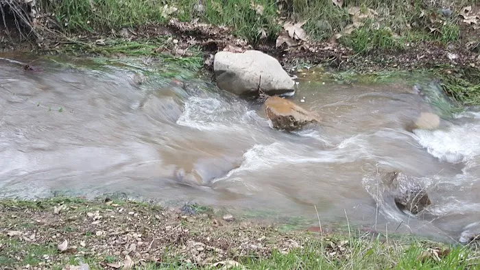 Aliso Park Campground Picture 6