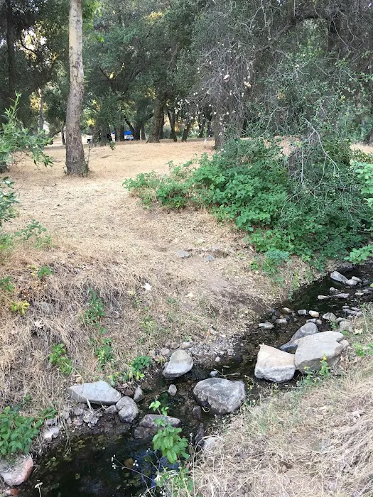 Aliso Park Campground Picture 7