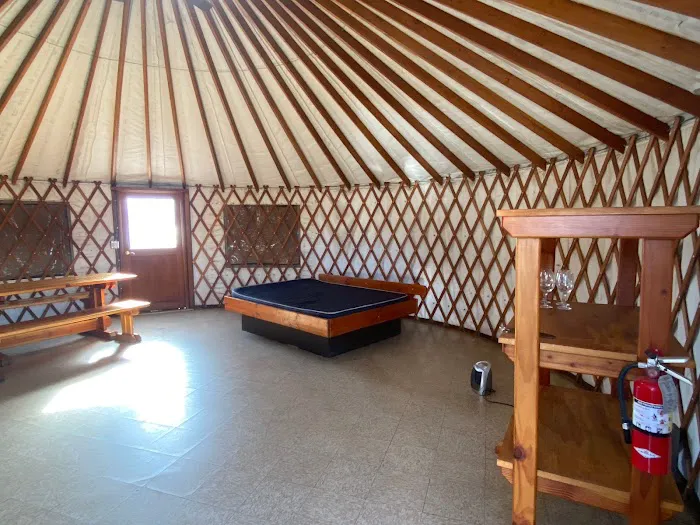 Redwood Yurt Picture 3