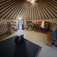 Redwood Yurt ico