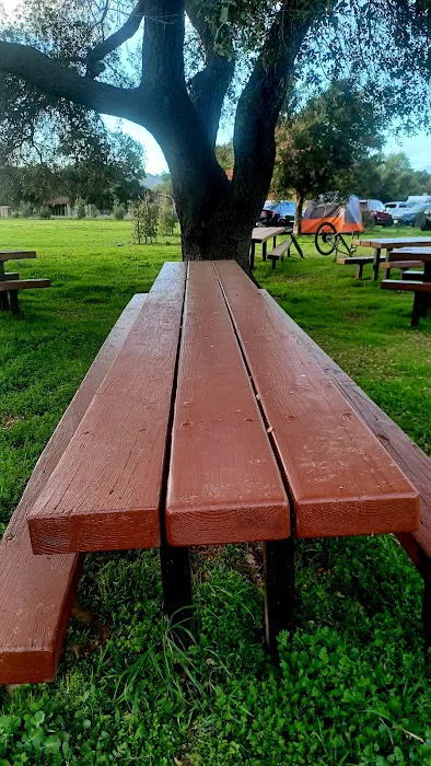 Dakota Plains Picture 10