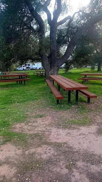 Dakota Plains Picture 8