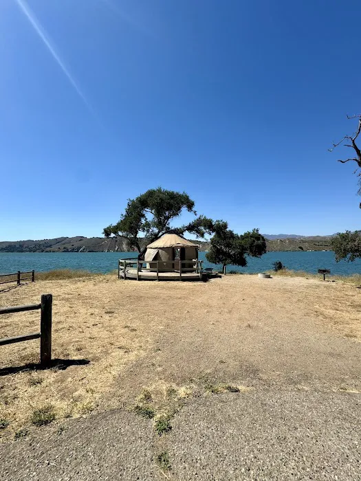 Lupine Yurt Picture 6