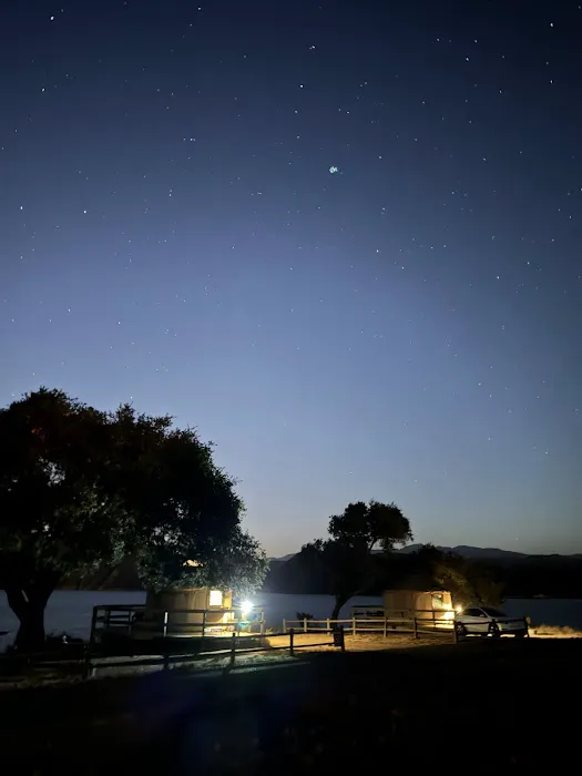 Lupine Yurt Picture 4