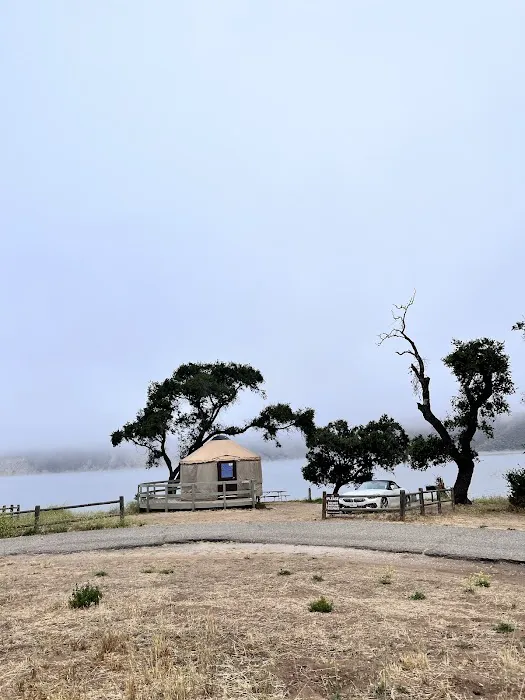 Lupine Yurt Picture 3