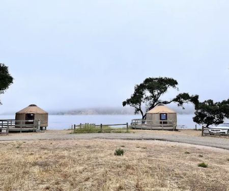 Lupine Yurt