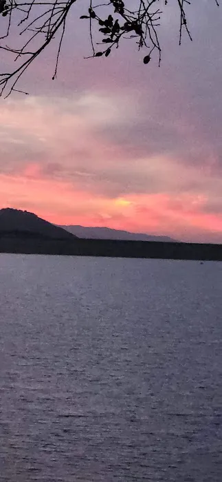 Poppy Yurt Picture 4