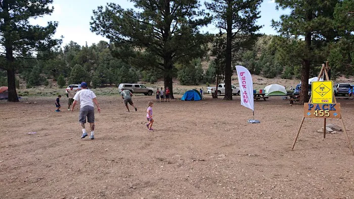 Juniper Springs Group Campground Picture 2