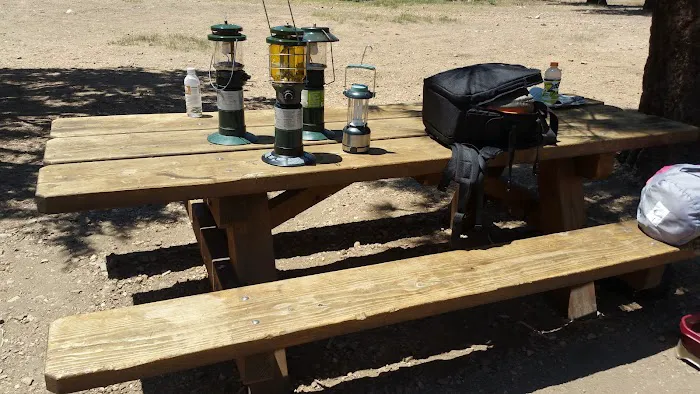 Juniper Springs Group Campground Picture 4