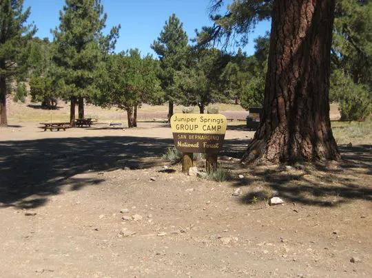 Juniper Springs Group Campground Picture 10