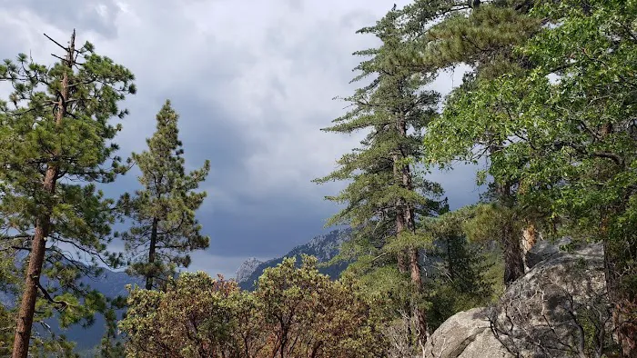 South Ridge Yellow Post Picture 3