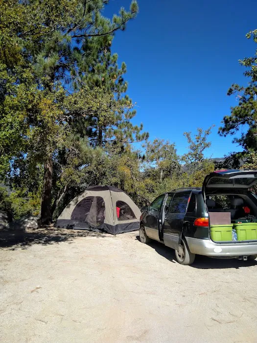 South Ridge Yellow Post Picture 4