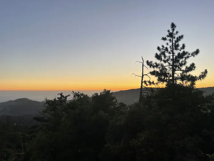 South Ridge Yellow Post Picture 1