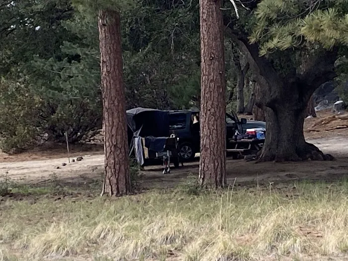 South Ridge Yellow Post Picture 7