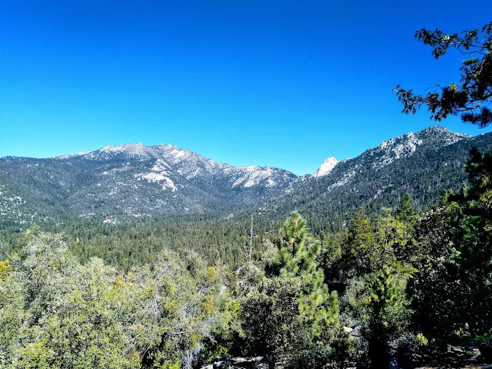 South Ridge Yellow Post Picture 6