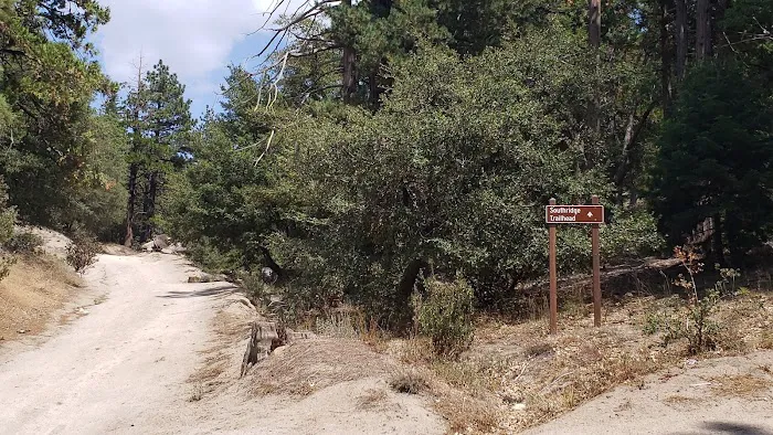 South Ridge Yellow Post Picture 5