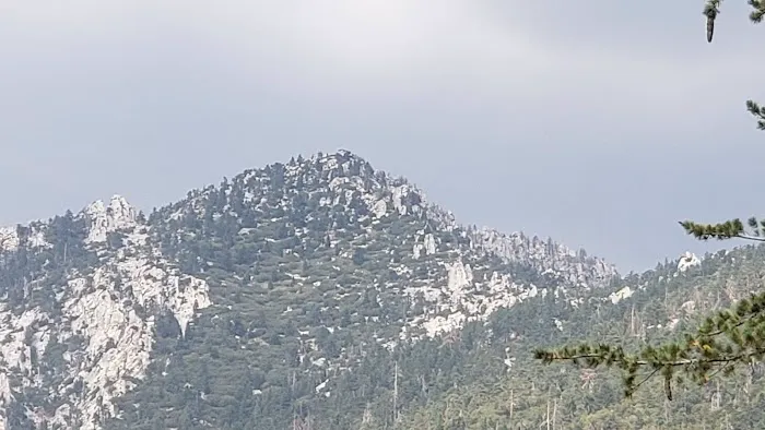 South Ridge Yellow Post Picture 2