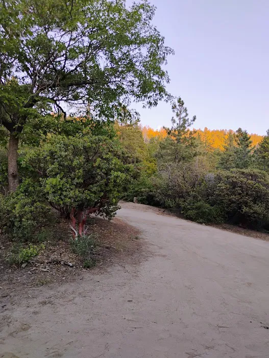 South Ridge Yellow Post Picture 10