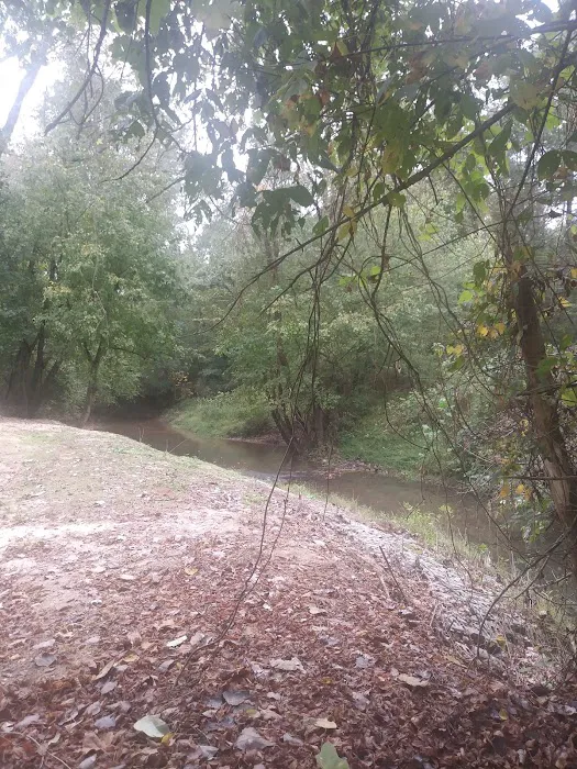 Orion Oaks Picture 3