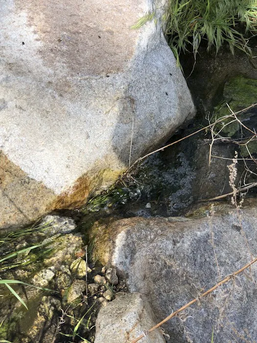 Pipes Campground Picture 1