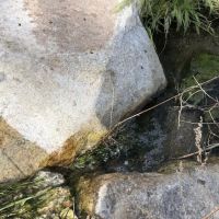 Pipes Campground ico