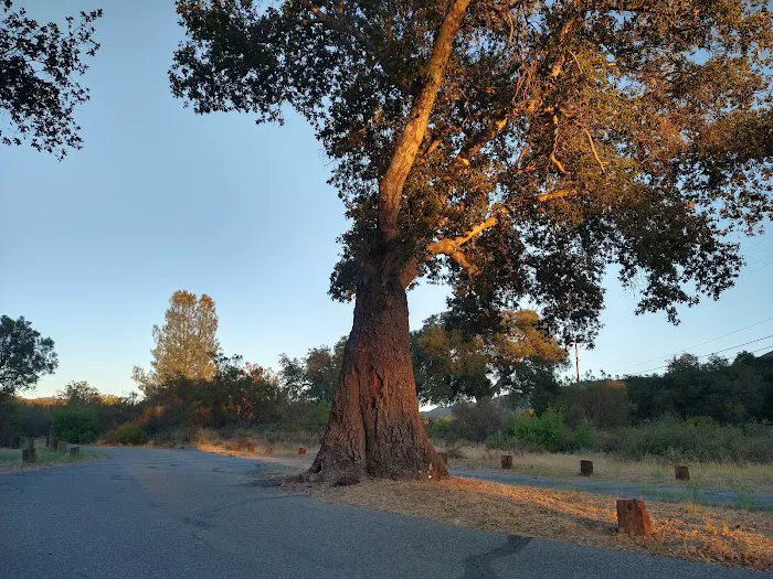 Oak Grove Campground Picture 9