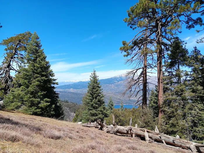 Thomas Mountain Campground Picture 8