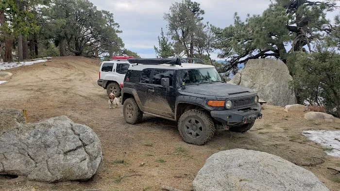 Thomas Mountain Campground Picture 1