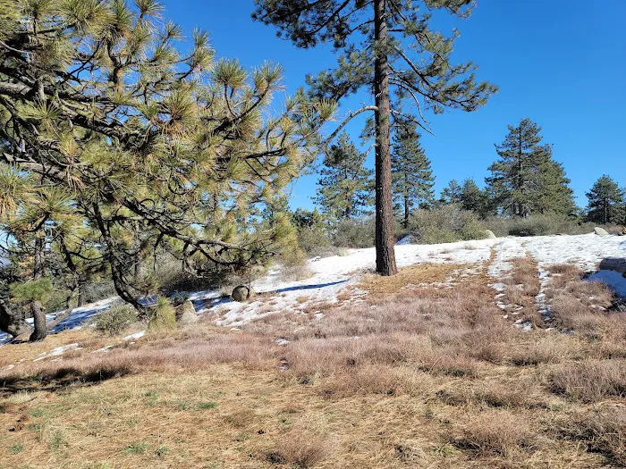 Thomas Mountain Campground Picture 9