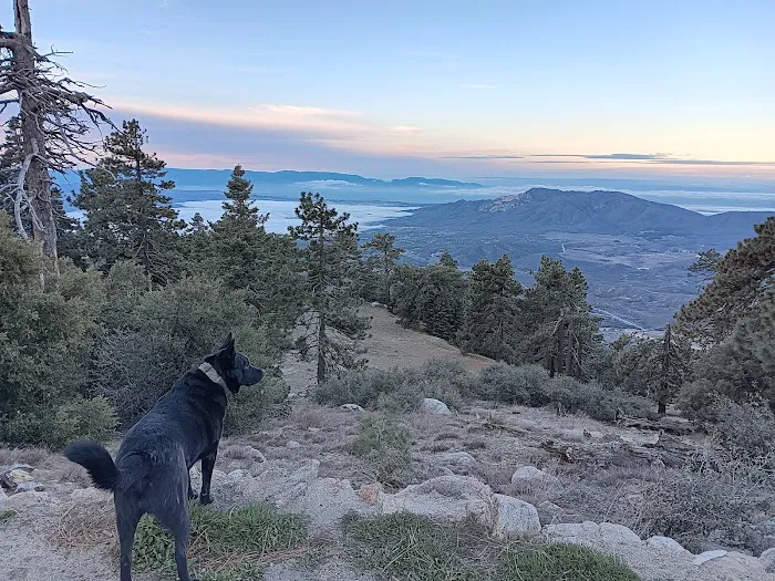 Thomas Mountain Campground Picture 3