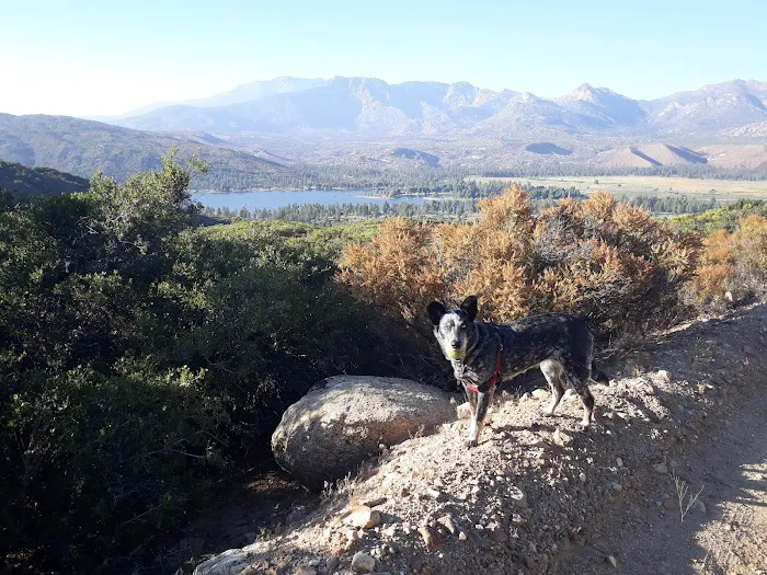 Thomas Mountain Campground Picture 10