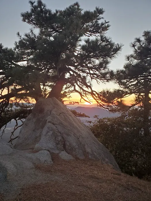 Thomas Mountain Yellow Post Sites Picture 8