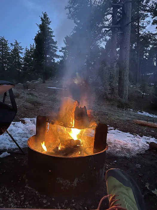 Thomas Mountain Yellow Post Sites Picture 6