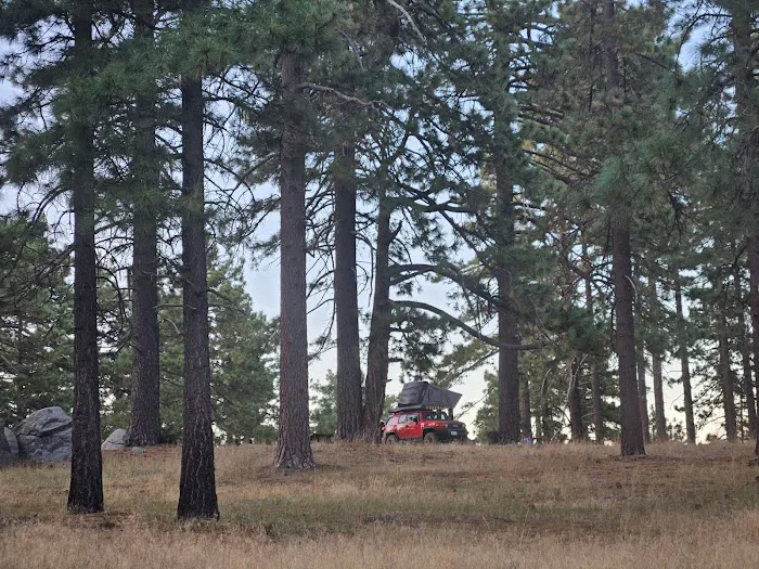 Thomas Mountain Yellow Post Sites Picture 9