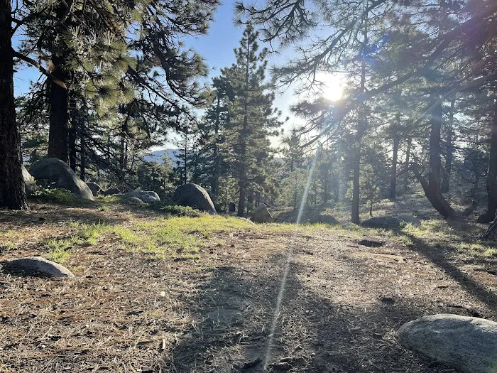 Thomas Mountain Yellow Post Sites Picture 10