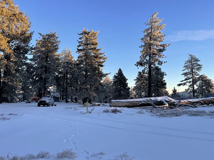 Thomas Mountain Yellow Post Sites Picture 5