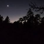 Thomas Mountain Yellow Post Sites