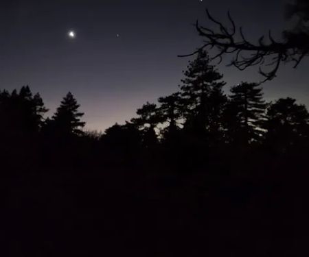 Thomas Mountain Yellow Post Sites