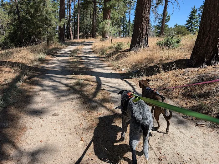Tool Box Springs Yellow Post Sites Picture 5