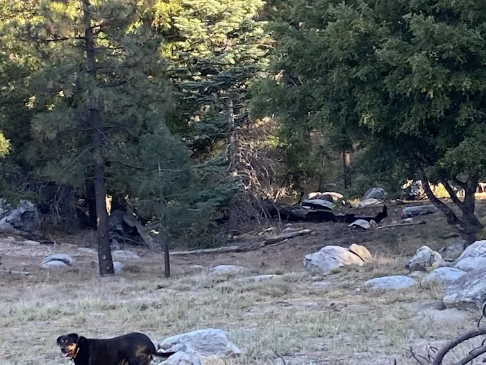 Tool Box Springs Yellow Post Sites Picture 3