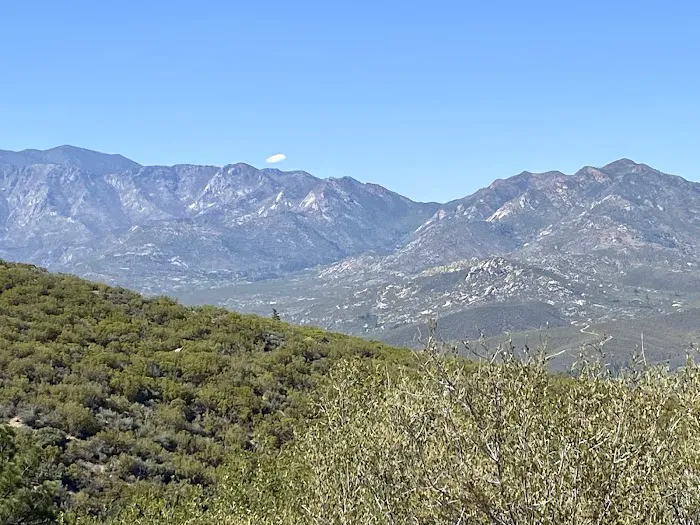 Tool Box Springs Yellow Post Sites Picture 9