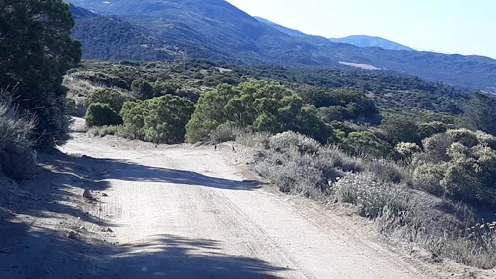 Tool Box Springs Yellow Post Sites Picture 7