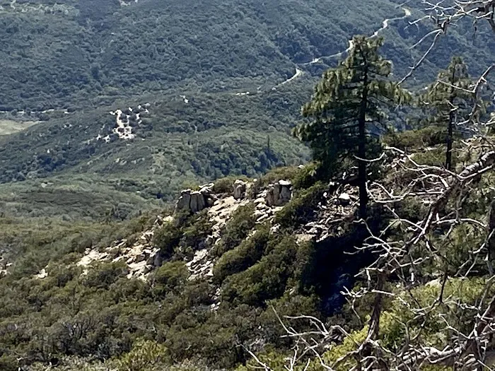 Tool Box Springs Yellow Post Sites Picture 4