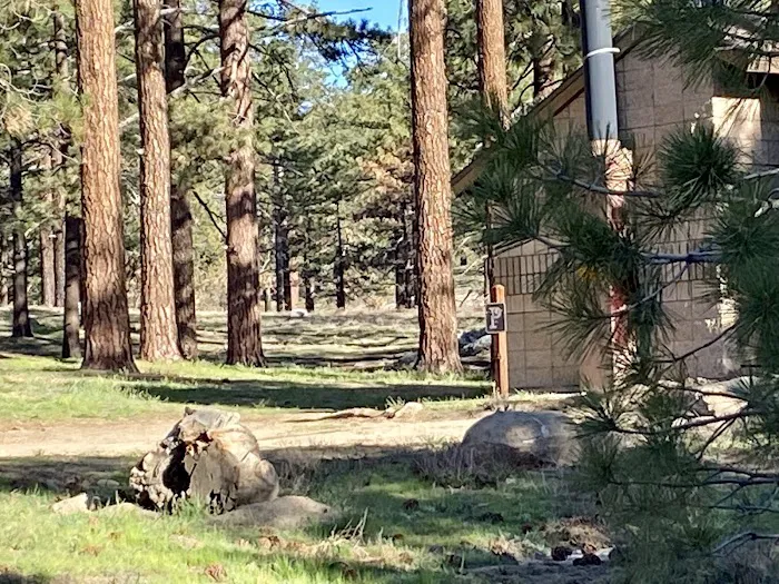 Tool Box Springs Yellow Post Sites Picture 8