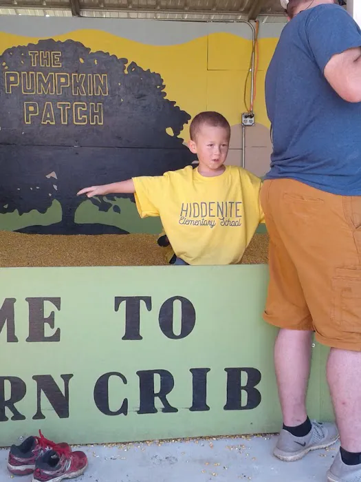 Meadows Park Lane Picture 1